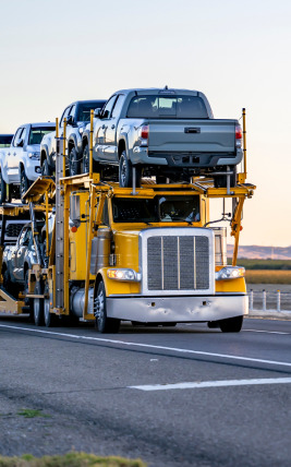 Caminhão cegonha levando varios carros em uma rodovia